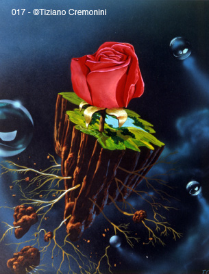 Cremonini Illustration 017